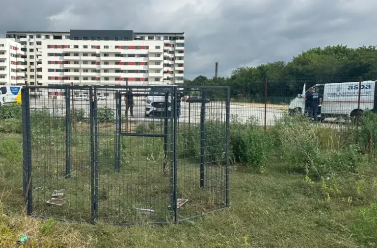 Metodă ASPA modernă și non-traumatică de capturare a câinilor fără stăpân – țarcul-capcană